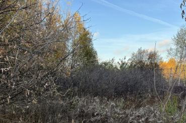 Участок, Зименки, 41.4 сот