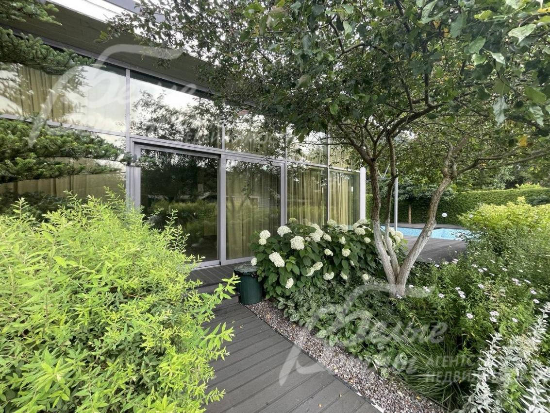 На участке множество красивых цветущих растений.