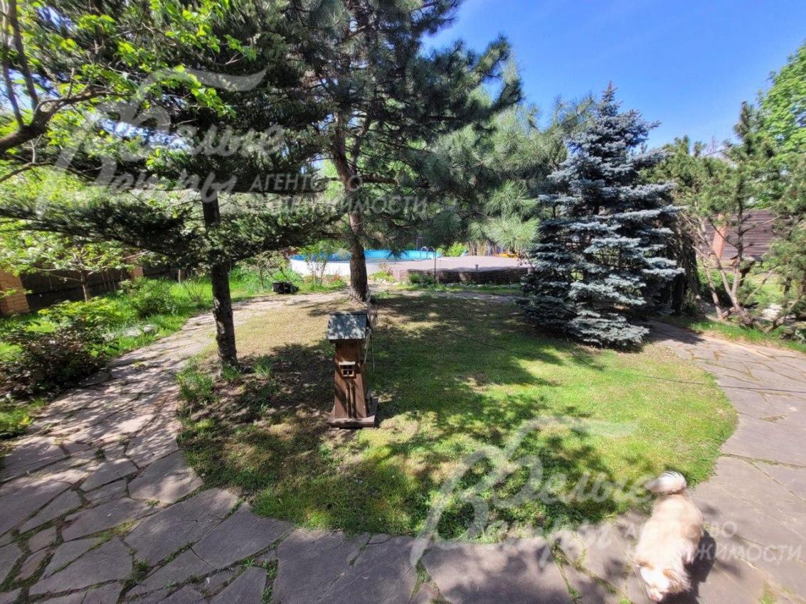 Живописный участок со взрослыми деревьями