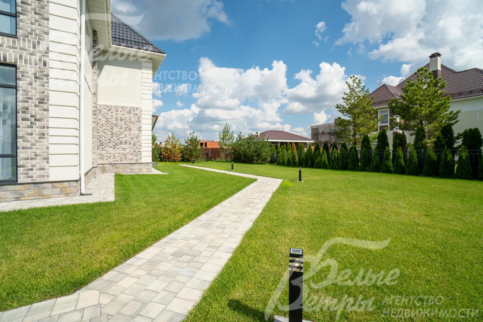 Высажены 60 туй и 25 сосен