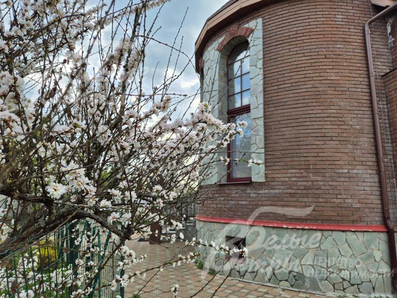 Цветущие кустарники