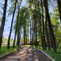 прогулочные дороги в поселке Бородино Вилладж