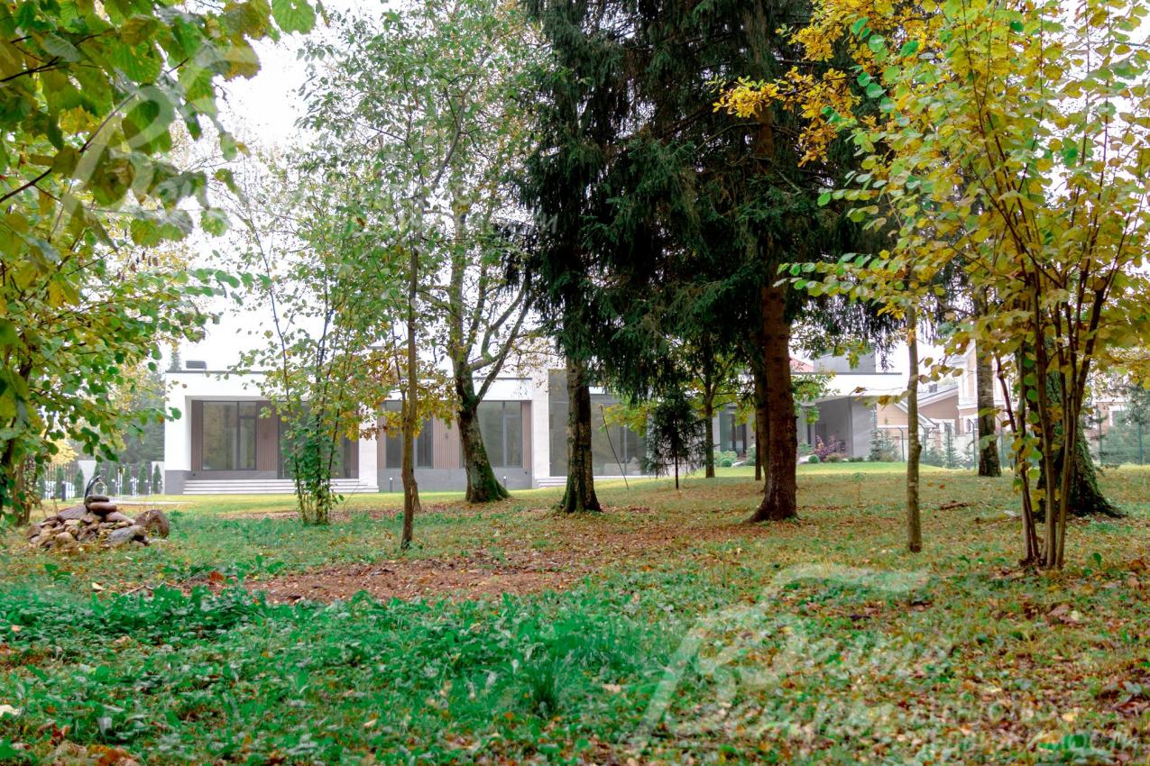 На участке сохранена лесная зона с деревьями