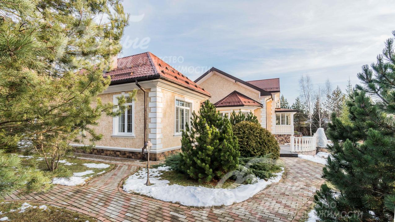 На участке высажено много хвойных деревьев