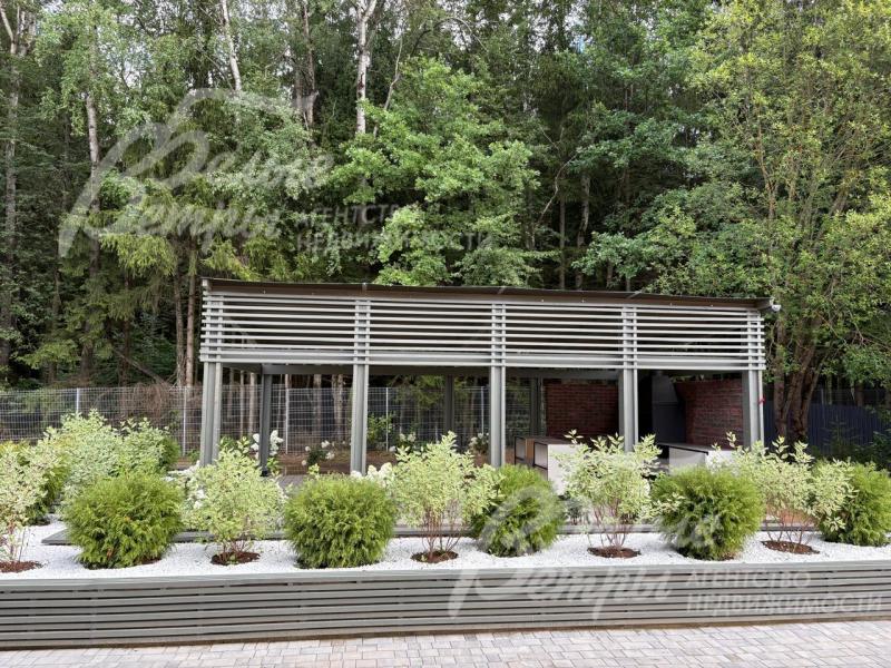 Вид на беседку и лес из дома