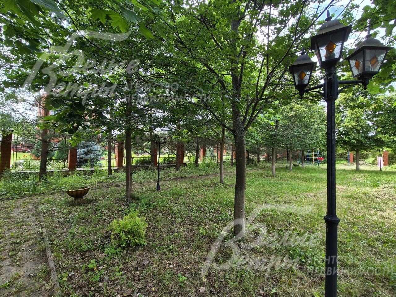 На участке плодовый сад.