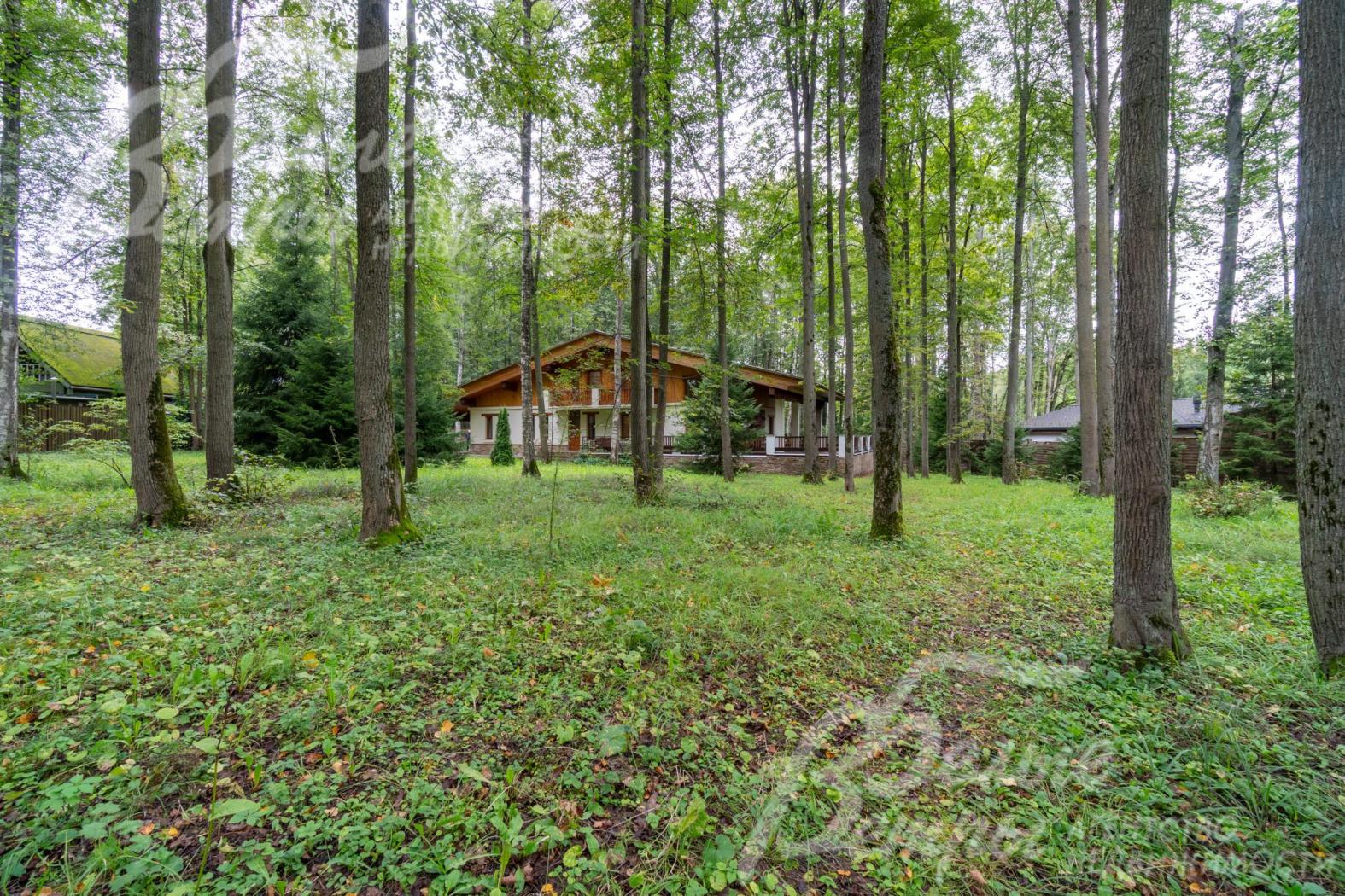 Дом стоит на просторном лесном участке, где сохранены взрослые деревья