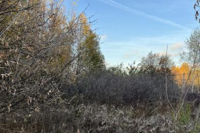 Участок, Зименки, 41.4&nbsp;сот