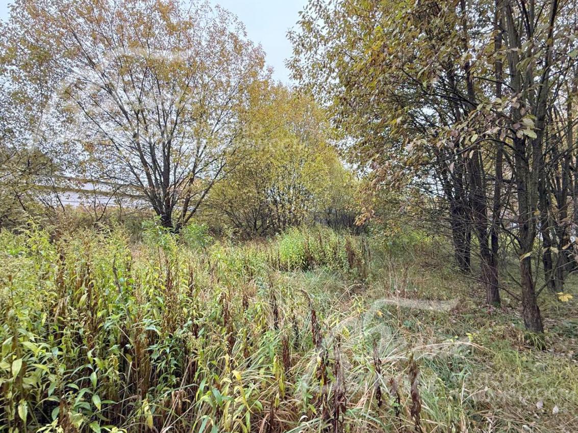 Площадь участка - почти правильной прямоугольной формы, есть собственный выход в лес