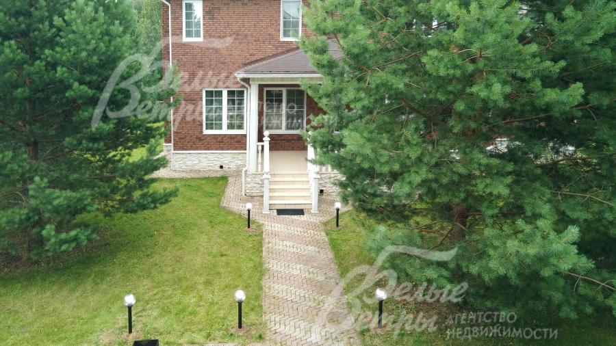 На участке множество взрослых хвойных деревьев