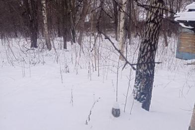 Участок, Зименки, 41.4&nbsp;сот