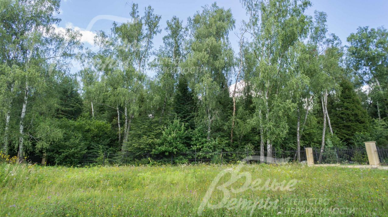 Рядом выход в лес