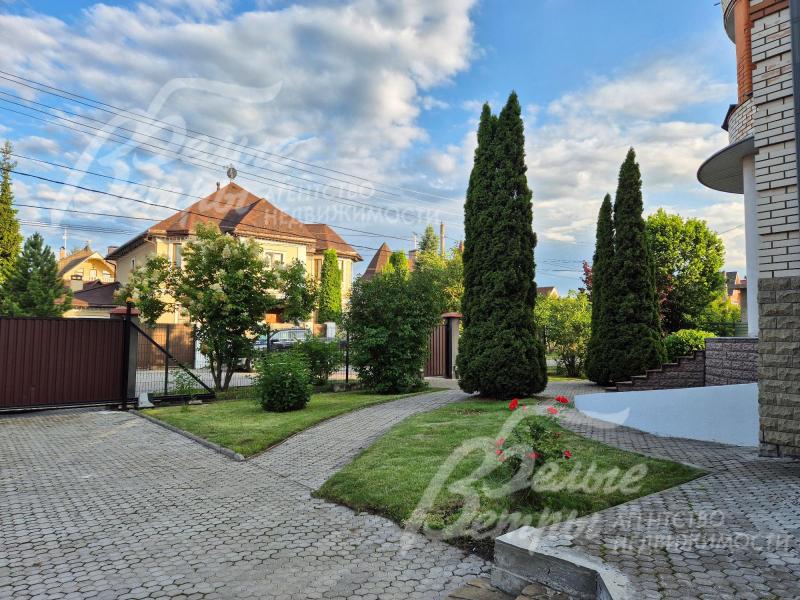 Крупномерные туи на участке