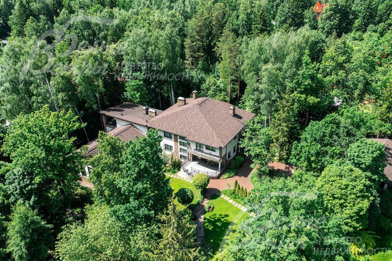 Участок окружен лесом