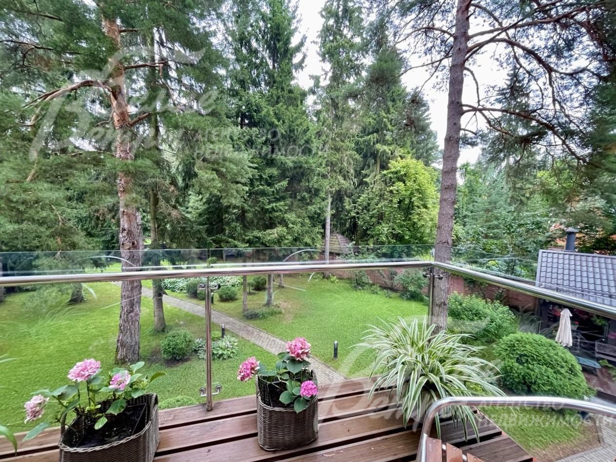 Шикарный вид на лесной участок с балкона