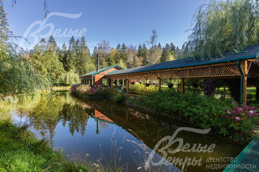 К беседке ведёт зелёная крытая галерея-мост вдоль пруда