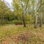 Участок, Зеленые холмы к/п (Першино), 10&nbsp;сот