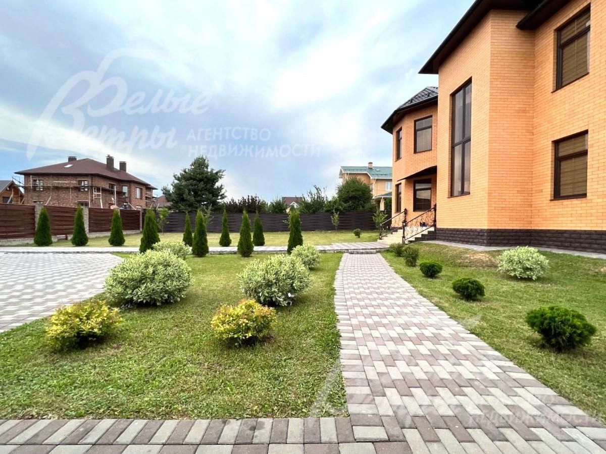 На участке высажены молодые туи и декоративные кустарники.