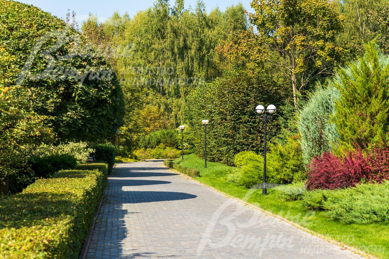 Освещенные прогулочные дорожки вымощенные брусчаткой