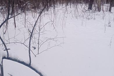 Участок, Зименки, 41.4&nbsp;сот