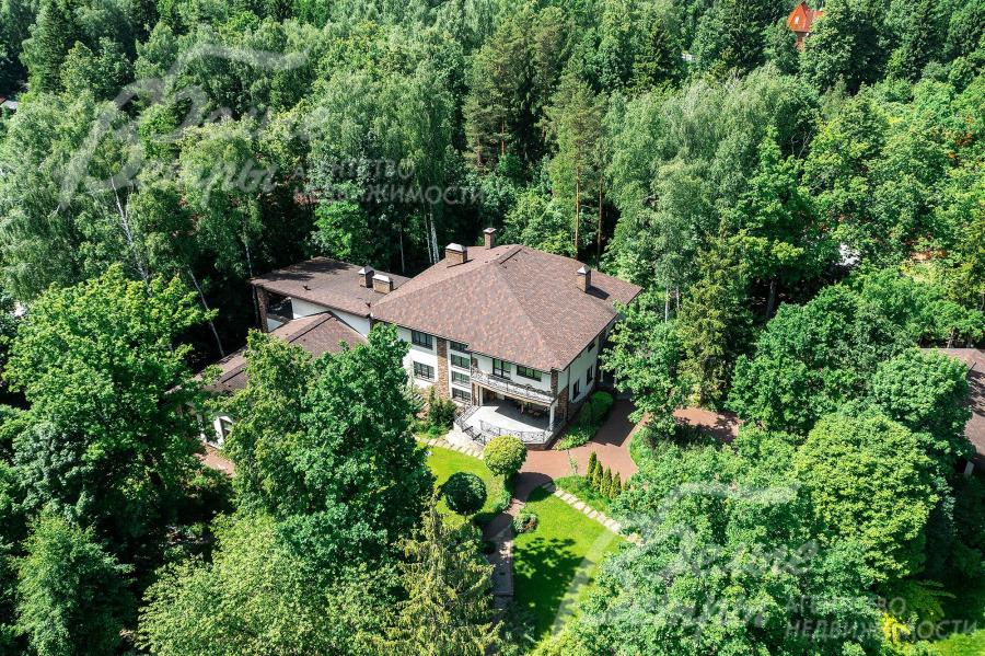 Участок окружен лесом