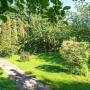 На участке 30 соток взрослый плодовый сад и декоративные растения