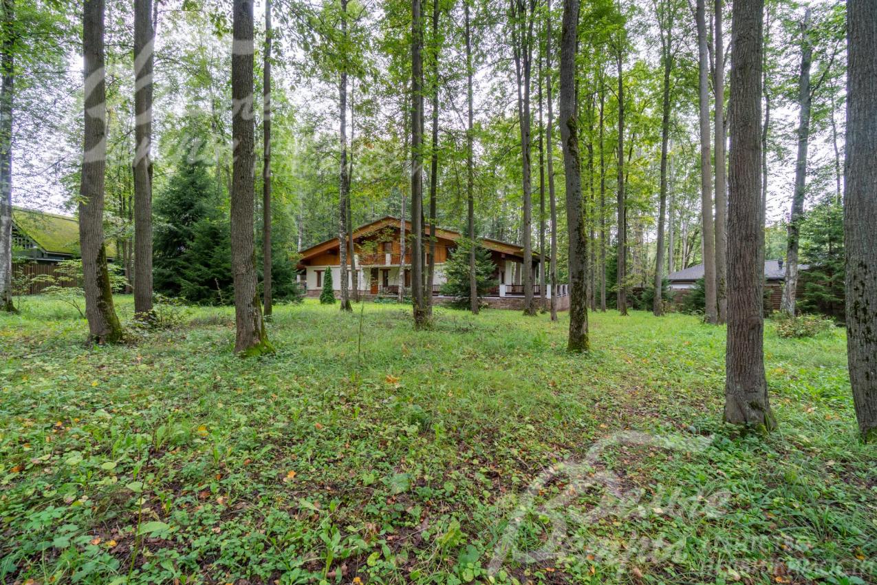 Дом стоит на просторном лесном участке, где сохранены взрослые деревья