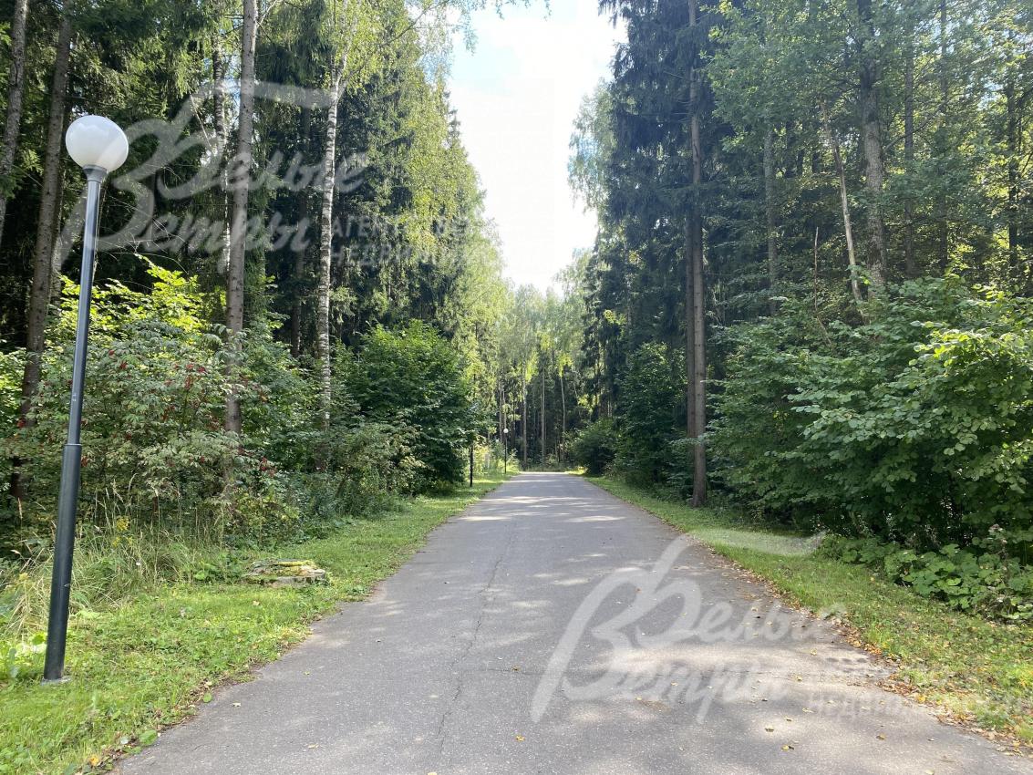 Тихое место