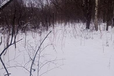 Участок, Зименки, 41.4&nbsp;сот