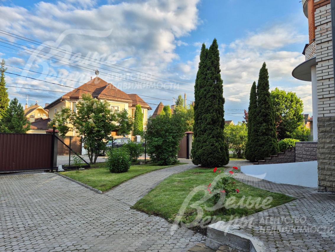 Крупномерные туи на участке