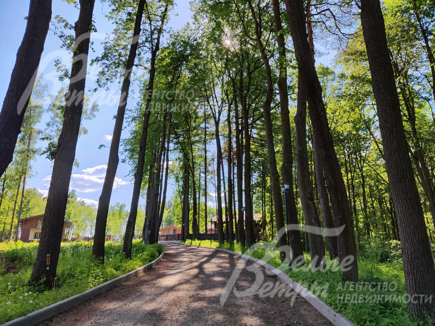 прогулочные дороги в поселке Бородино Вилладж