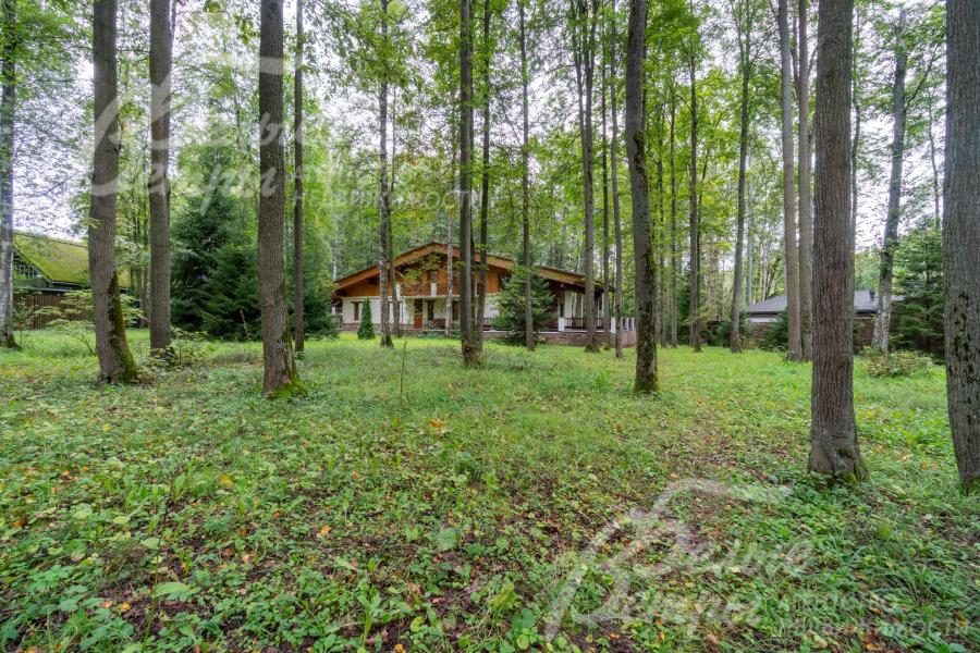 Дом стоит на просторном лесном участке, где сохранены взрослые деревья