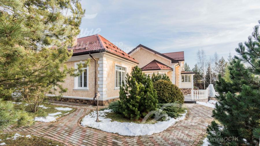 На участке высажено много хвойных деревьев