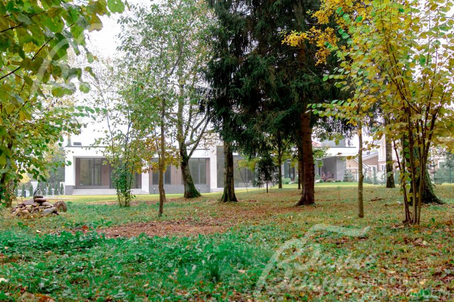 На участке сохранена лесная зона с деревьями