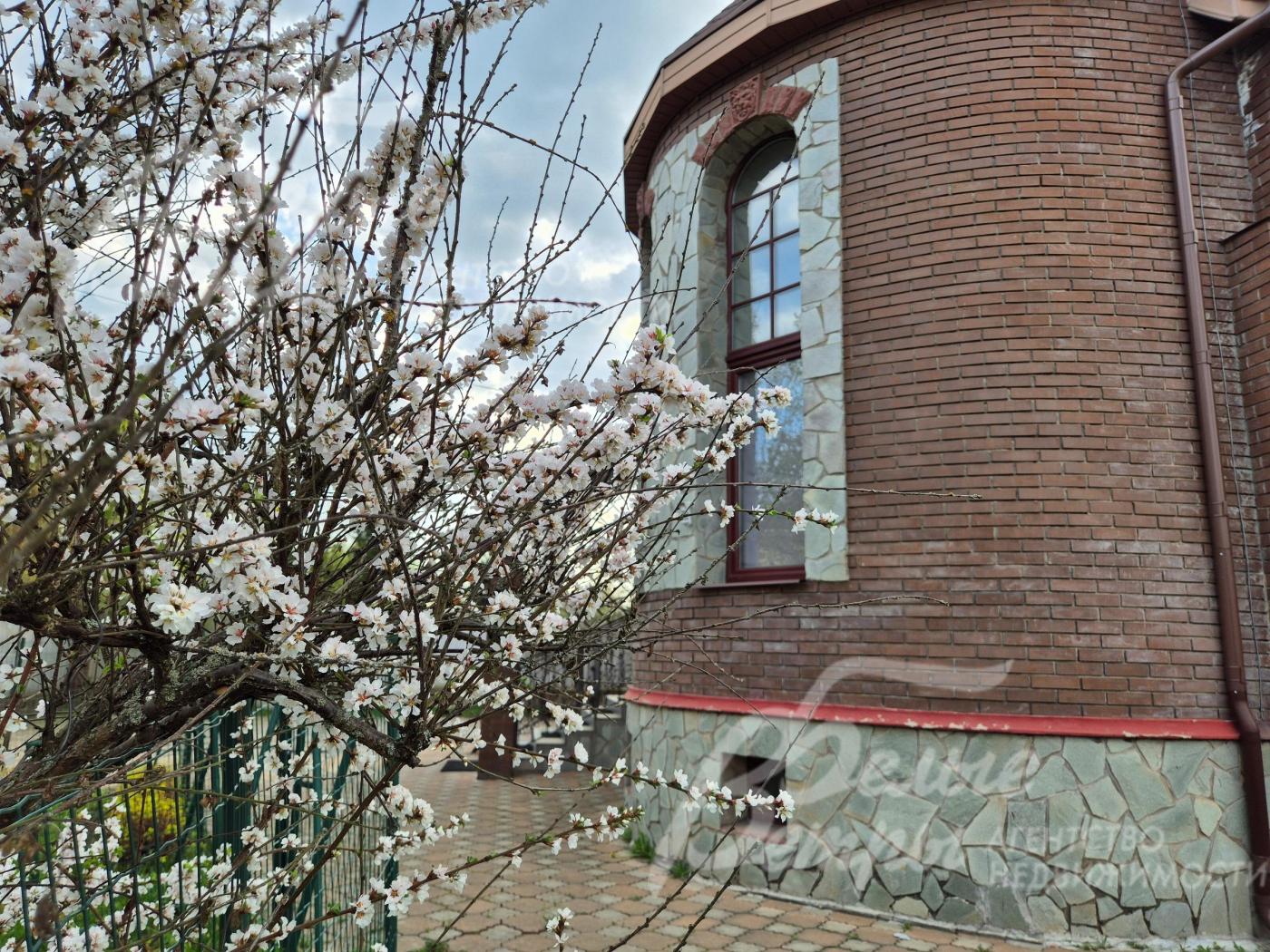 Цветущие кустарники