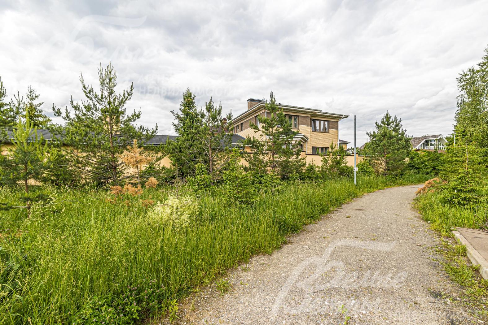 Дом расположен рядом с лесом.