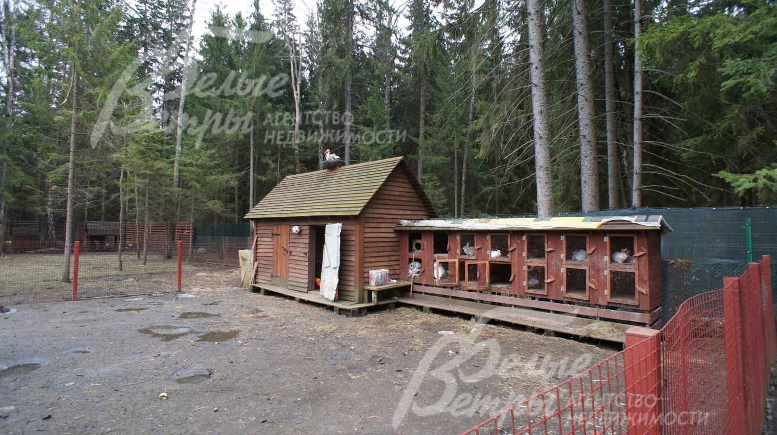Загон для кроликов и вольер для собак