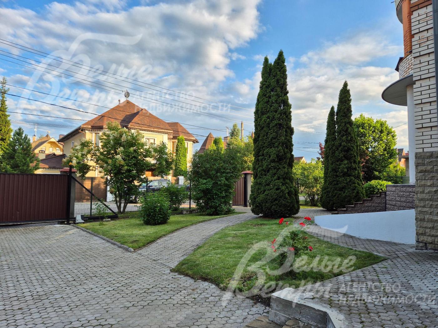 Крупномерные туи на участке