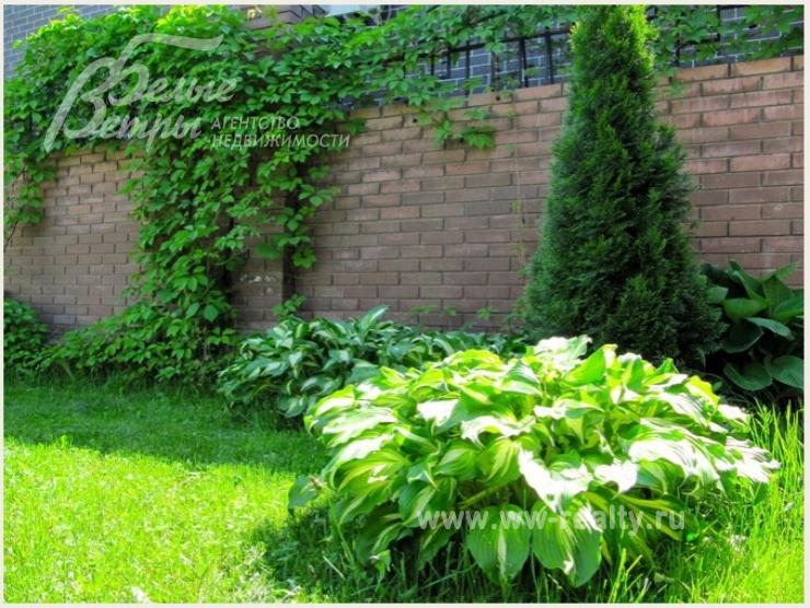 Участок ухожен, растут деревья, кустарники, растения