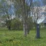 Участок 9 соток с деревьями