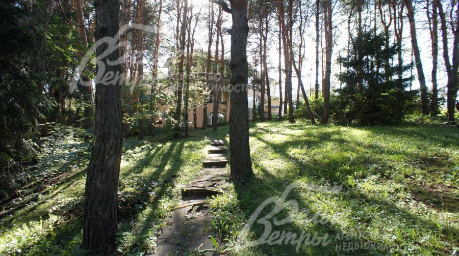 Стоя на деревянных мостиках возле ручья или прогуливаясь по тропинам можно полюбоваться как прыгают с ветки на ветку озорные белки