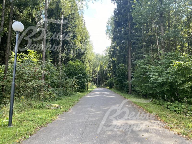 Тихое место