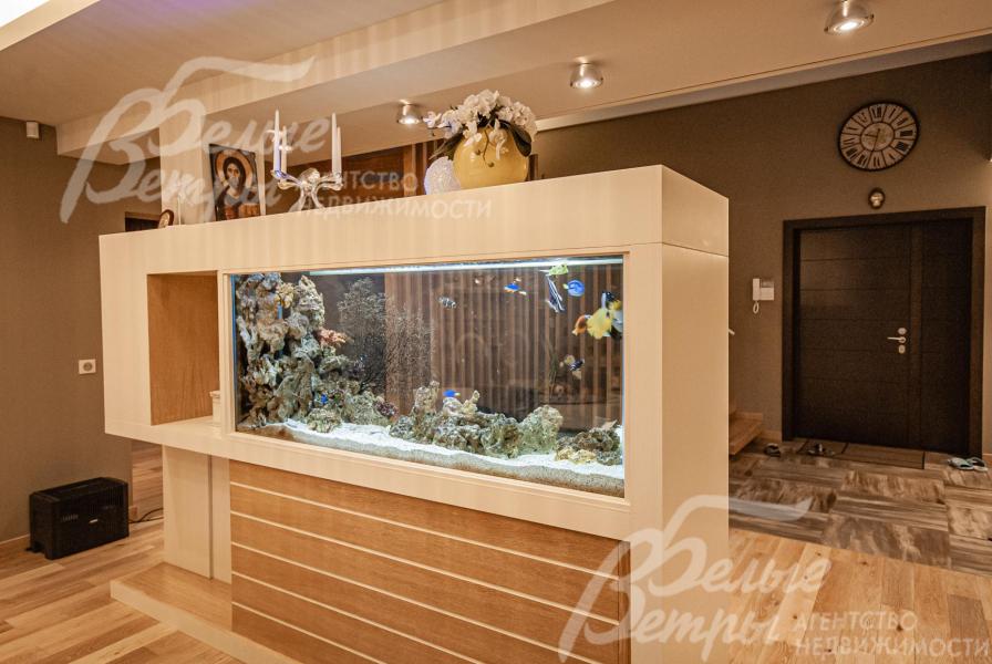 Аквариум в зоне столовой