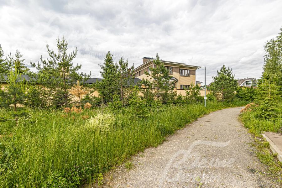 Дом расположен рядом с лесом.