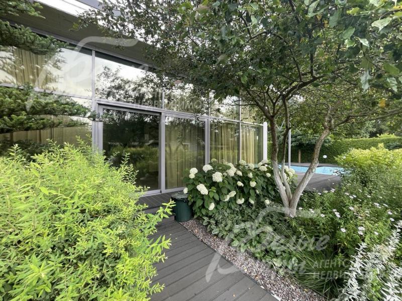 На участке множество красивых цветущих растений.