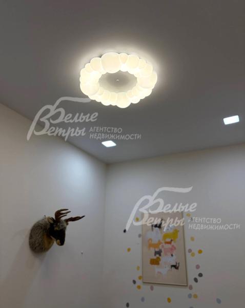 Освещение реализовано продукцией Philips, установлены точечные светильники и люстра