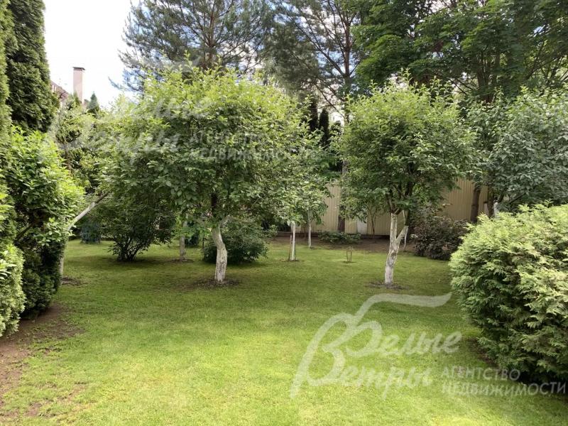Яблоневый сад