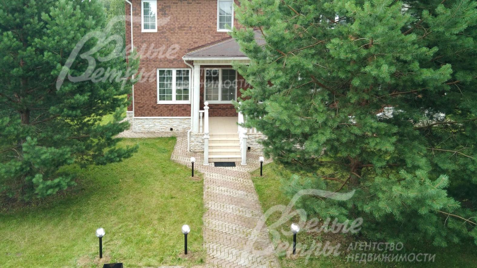 На участке множество взрослых хвойных деревьев