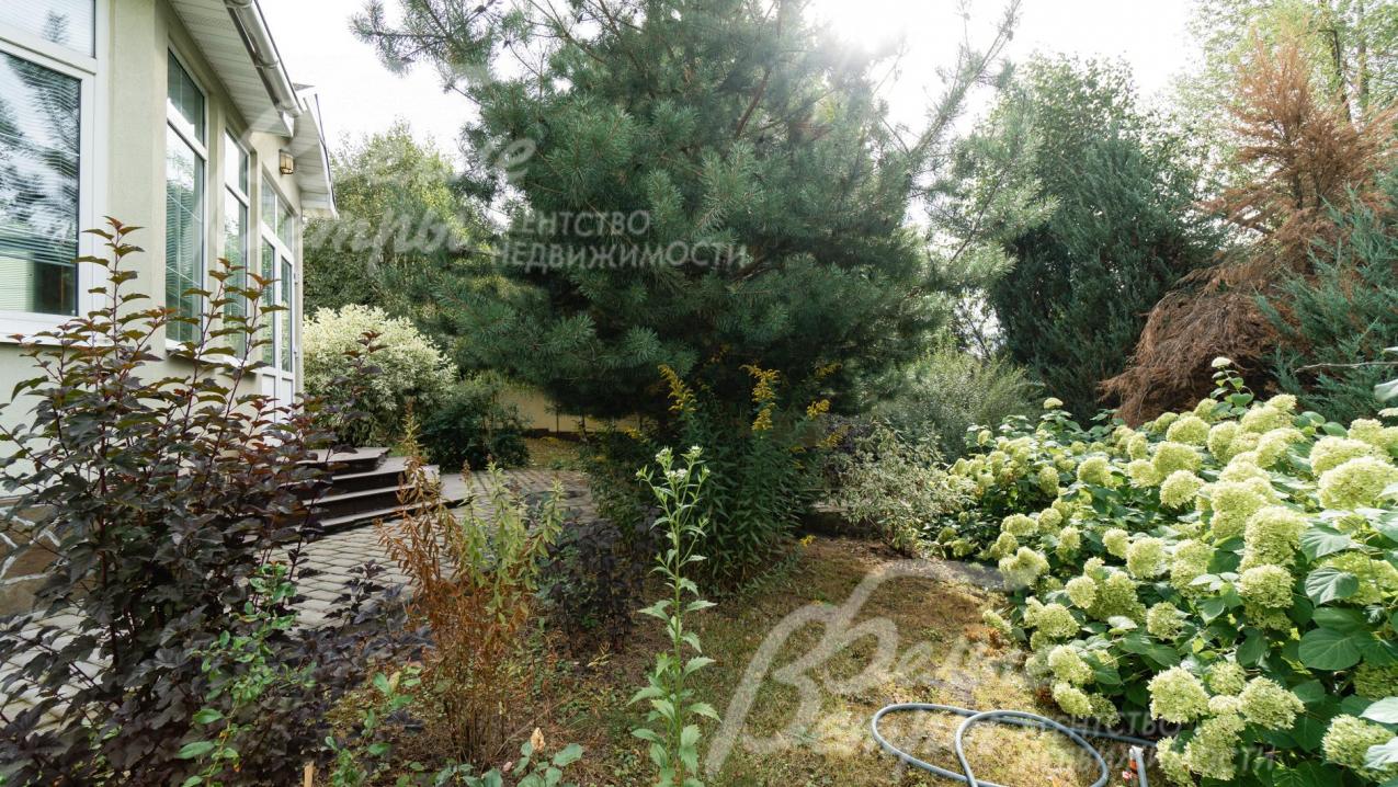 Декоративные кустарники