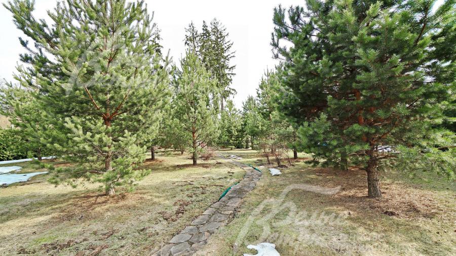 Зеленый Дом Десна - обжитой престижный поселок на территории санатория Управления Делами Президента